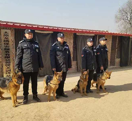 警犬基地 
